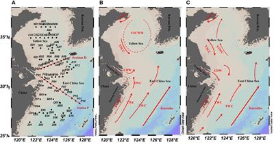 Noctiluca Scintillans Distribution Largely Regulated by Phytoplankton Biomass in the East China Sea and Southern Yellow Sea